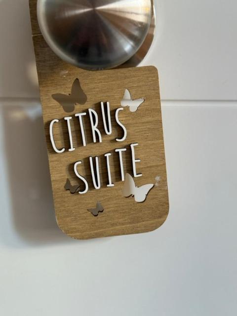 Citrus Suite By Alhaurin Loft City Center Alhaurín de la Torre Exteriér fotografie
