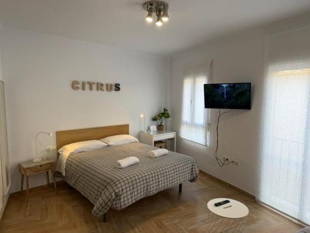 Citrus Suite By Alhaurin Loft City Center Alhaurín de la Torre Exteriér fotografie